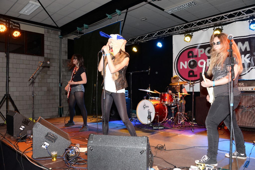 ../Images/Poppodium Noordwijk Punk-Night 089.jpg